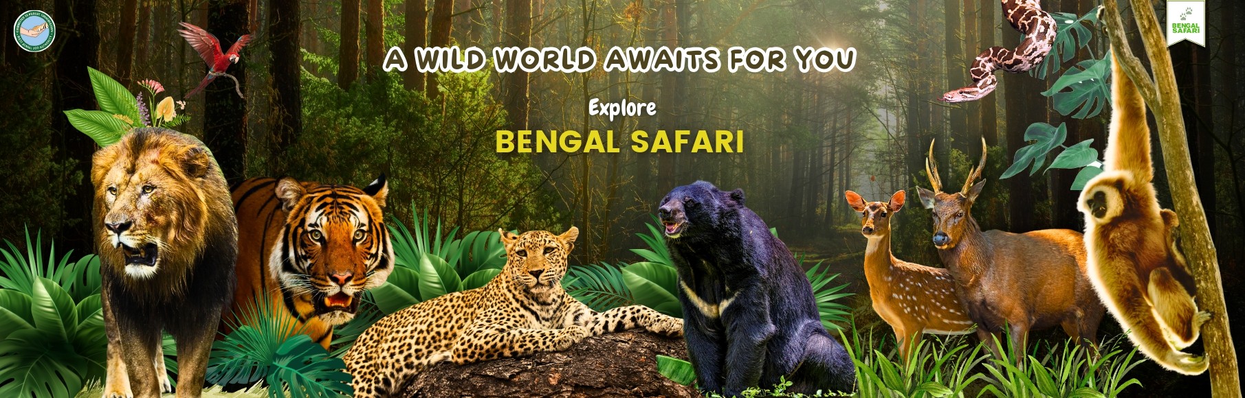 Explore Bengal Safari