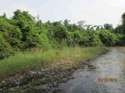 northbengalwildanimalspark.in Glimpses